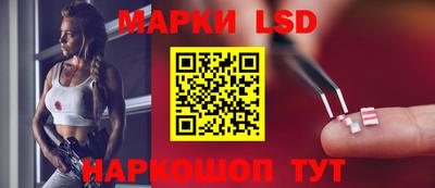мдпв Кингисепп