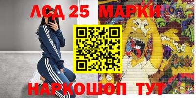мдпв Кингисепп