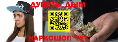мдпв Кингисепп