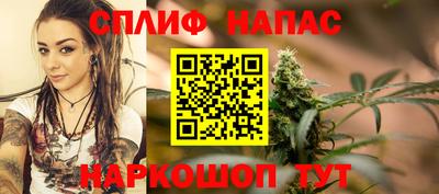 мдпв Кингисепп