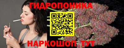 мдпв Кингисепп
