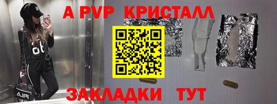 мдпв Кингисепп