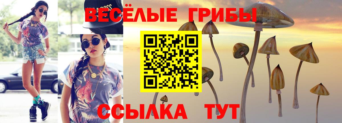 Псилоцибиновые грибы Psilocybe Кудымкар